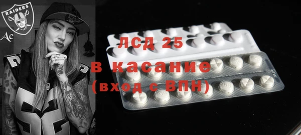 прущие грибы Богданович