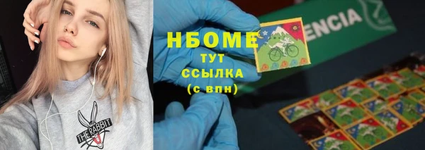 прущие грибы Богданович