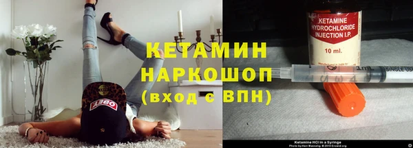 прущие грибы Богданович