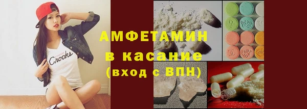 прущие грибы Богданович