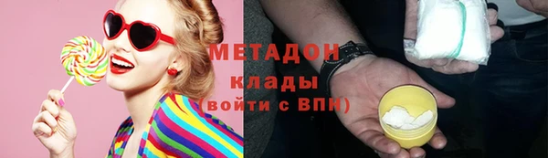 прущие грибы Богданович