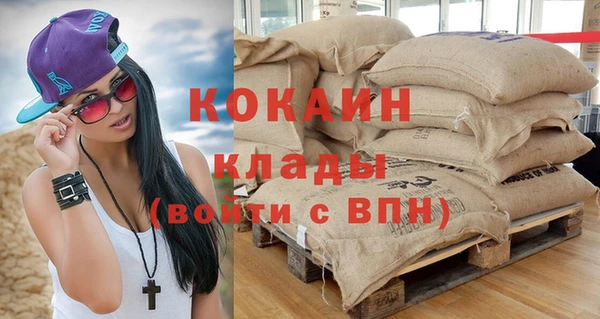 спиды Богородицк
