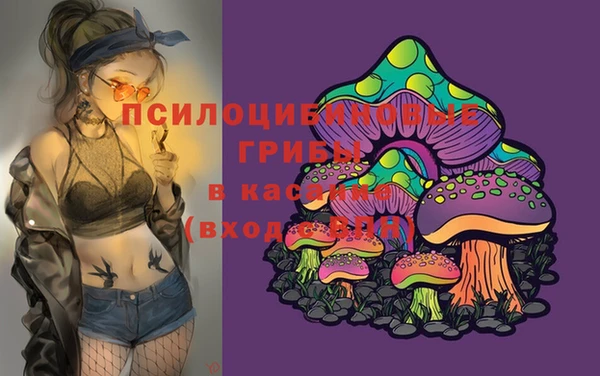 спиды Богородицк
