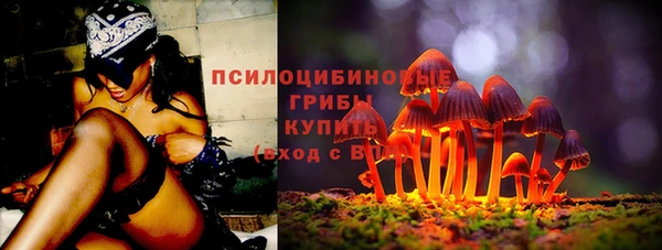 спиды Богородицк