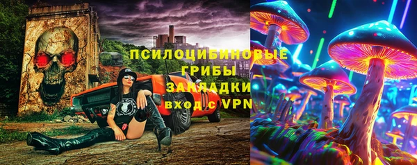 спиды Богородицк