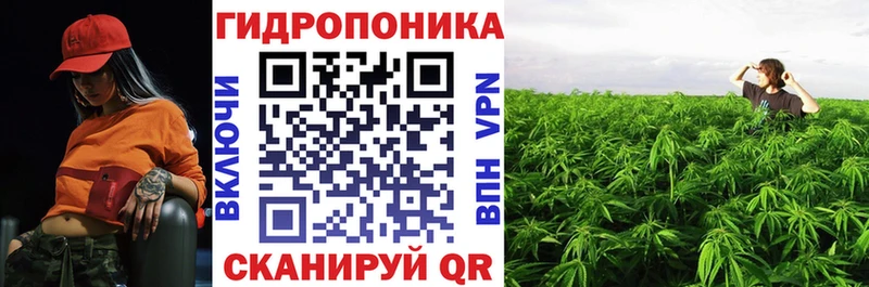 Каннабис планчик  omg зеркало  Полесск 